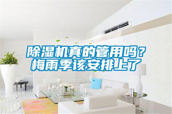 除濕機真的管用嗎?梅雨季該安排上了