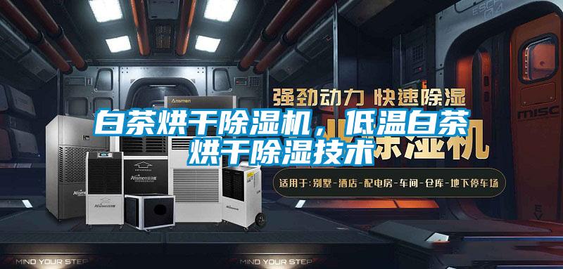 白茶烘干除濕機(jī),低溫白茶烘干除濕技術(shù)