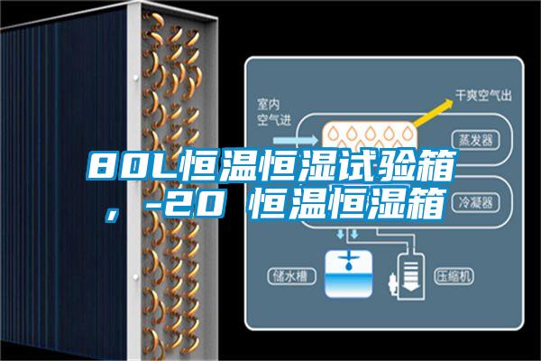 80L恒溫恒濕試驗(yàn)箱,-20℃恒溫恒濕箱
