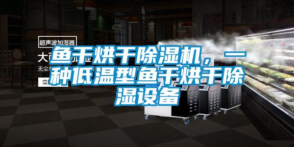 魚干烘干除濕機，一種低溫型魚干烘干除濕設備