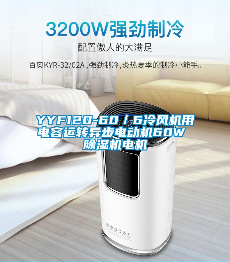 YYF120-60／6冷風(fēng)機(jī)用電容運(yùn)轉(zhuǎn)異步電動機(jī)60W 除濕機(jī)電機(jī)