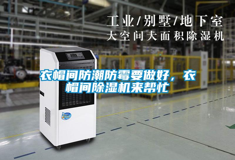 衣帽間防潮防霉要做好，衣帽間除濕機來幫忙