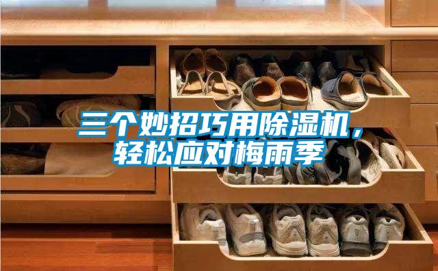 三個妙招巧用除濕機，輕松應對梅雨季