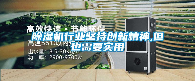 除濕機行業堅持創新精神,但也需要實用