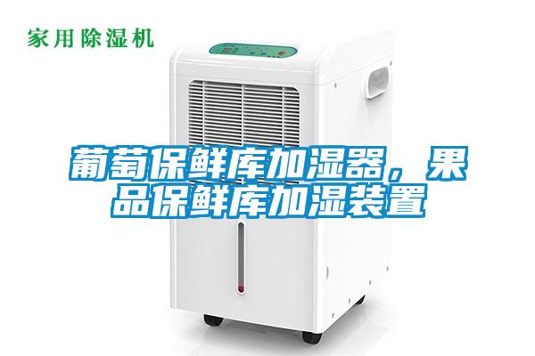 葡萄保鮮庫(kù)加濕器，果品保鮮庫(kù)加濕裝置