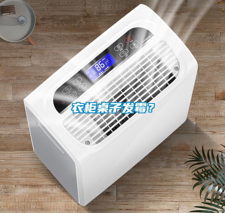 衣柜桌子發(fā)霉？