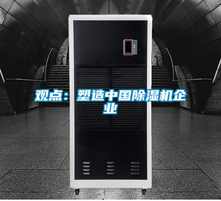 觀點(diǎn):塑造中國(guó)除濕機(jī)企業(yè)