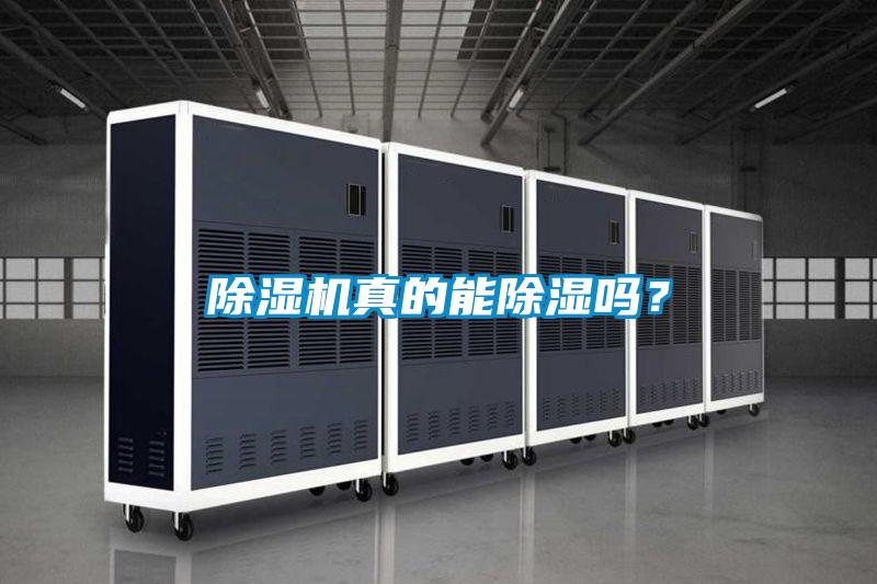 除濕機真的能除濕嗎?