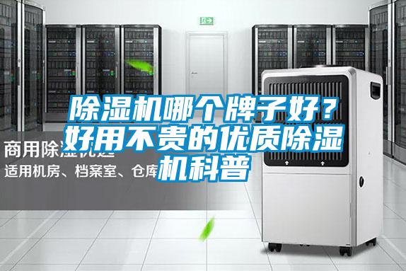 除濕機哪個牌子好?好用不貴的優(yōu)質(zhì)除濕機科普