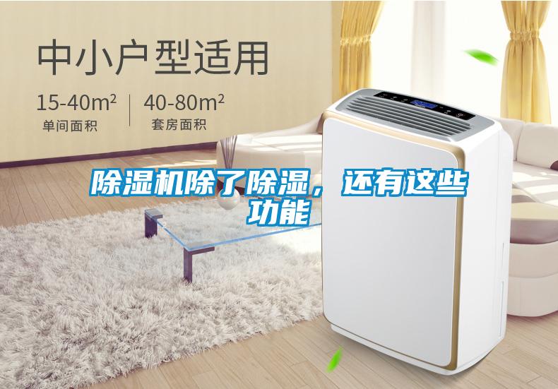 除濕機(jī)除了除濕，還有這些功能