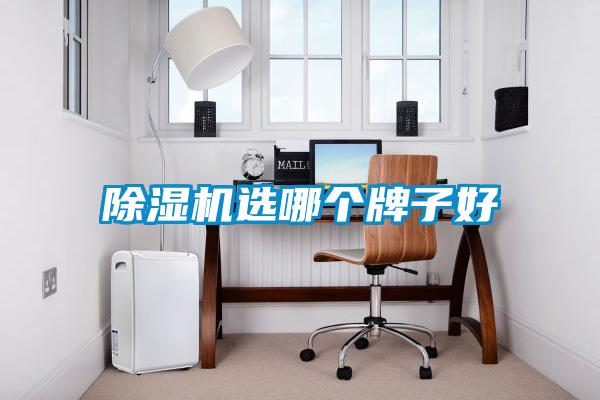 除濕機選哪個牌子好