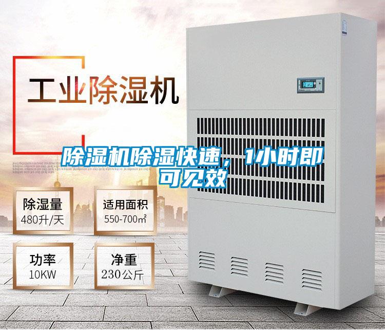 除濕機除濕快速，1小時即可見效
