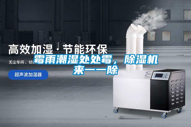 霉雨潮濕處處霉,除濕機來一一除