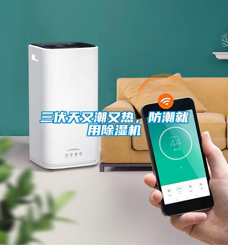 三伏天又潮又熱，防潮就用除濕機