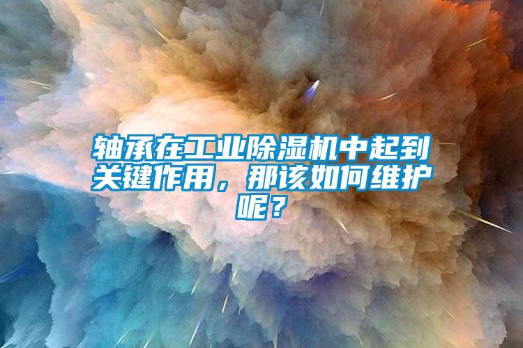 軸承在工業除濕機中起到關鍵作用，那該如何維護呢？