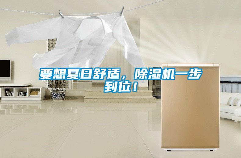 要想夏日舒適，除濕機(jī)一步到位！