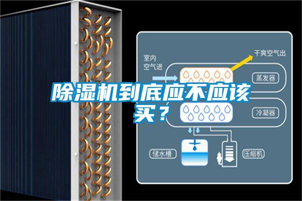 除濕機到底應(yīng)不應(yīng)該買?
