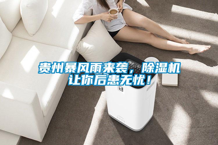 貴州暴風(fēng)雨來襲，除濕機(jī)讓你后患無憂！
