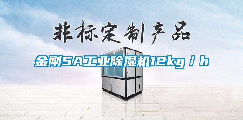 金剛5A工業除濕機12kg/h