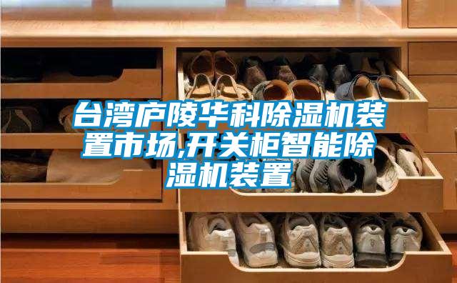 臺灣廬陵華科除濕機(jī)裝置市場,開關(guān)柜智能除濕機(jī)裝置