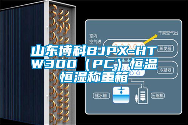 山東博科BJPX-HTW300（PC）恒溫恒濕稱(chēng)重箱