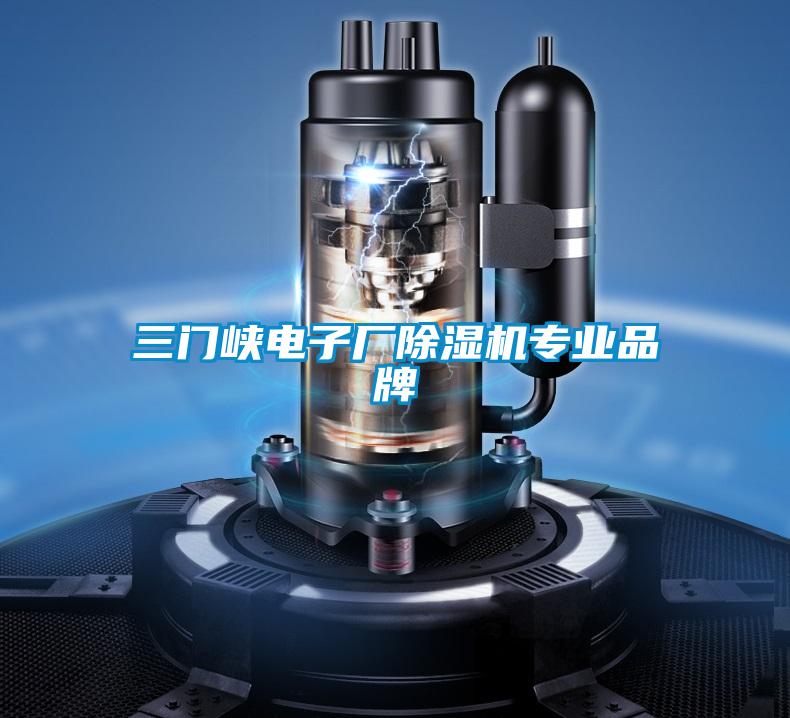 三門(mén)峽電子廠除濕機(jī)專業(yè)品牌