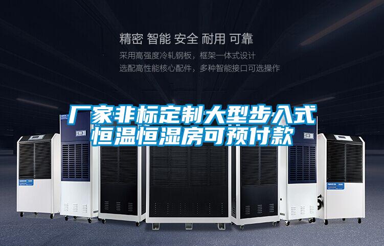 廠家非標定制大型步入式恒溫恒濕房可預(yù)付款