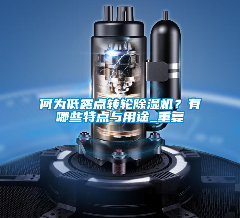 何為低露點轉(zhuǎn)輪除濕機？有哪些特點與用途_重復(fù)