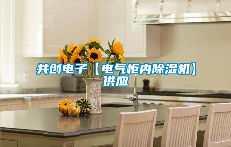共創(chuàng)電子【電氣柜內(nèi)除濕機】供應(yīng)