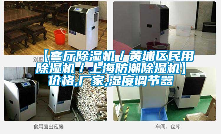 【客廳除濕機/黃埔區民用除濕機/上海防潮除濕機】價格,廠家,濕度調節器