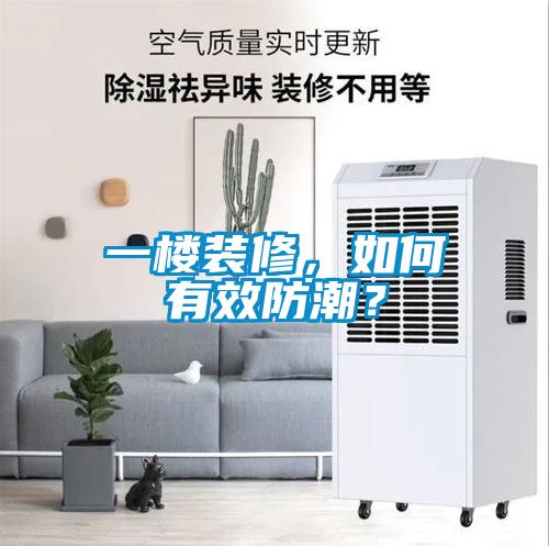 一樓裝修,如何有效防潮?