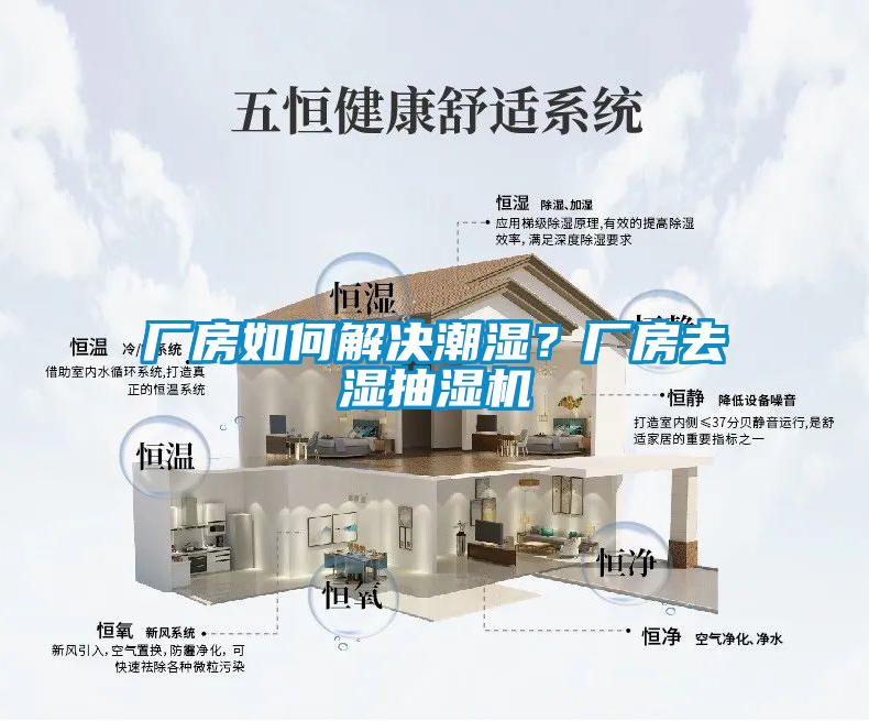 廠房如何解決潮濕？廠房去濕抽濕機