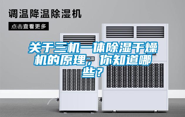 關(guān)于三機一體除濕干燥機的原理,你知道哪些?