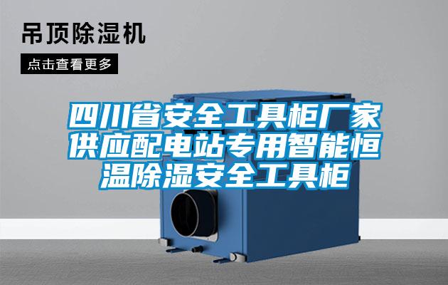 四川省安全工具柜廠家供應配電站專用智能恒溫除濕安全工具柜