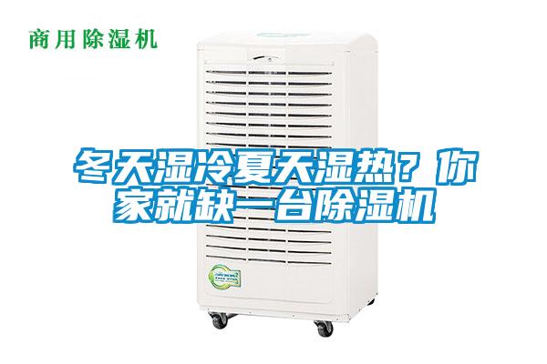 冬天濕冷夏天濕熱?你家就缺一臺除濕機