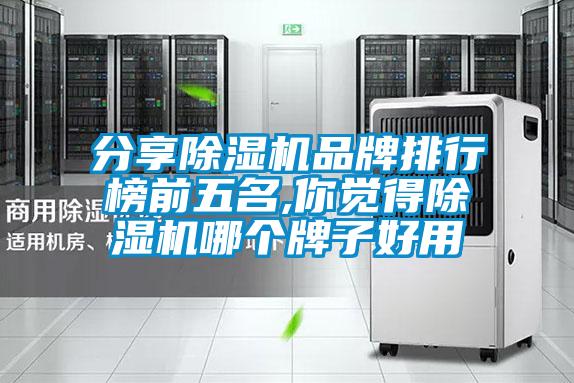 分享除濕機(jī)品牌排行榜前五名,你覺得除濕機(jī)哪個牌子好用