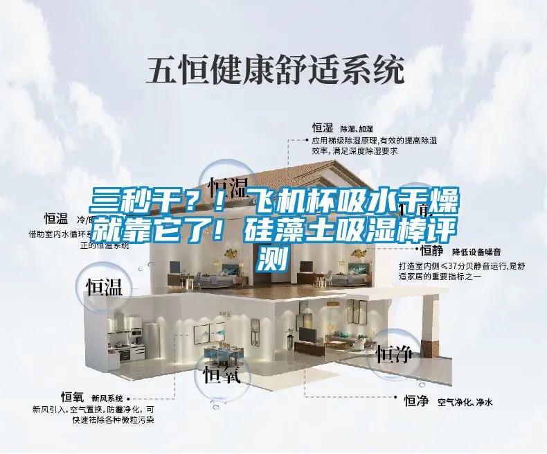 三秒干?! 飛機(jī)杯吸水干燥就靠它了! 硅藻土吸濕棒評(píng)測(cè)