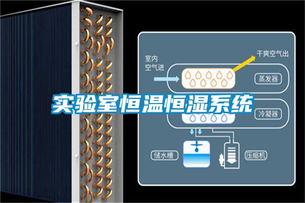 實驗室恒溫恒濕系統(tǒng)