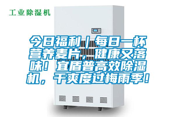 今日福利|每日一杯營養(yǎng)麥片,健康又落味!宜盾普高效除濕機(jī),干爽度過梅雨季!