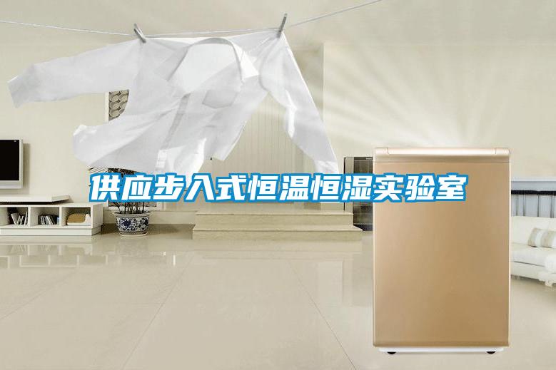 供應步入式恒溫恒濕實驗室