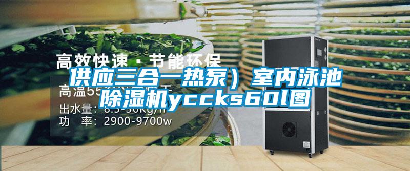供應(yīng)三合一熱泵)室內(nèi)泳池除濕機(jī)yccks60l圖