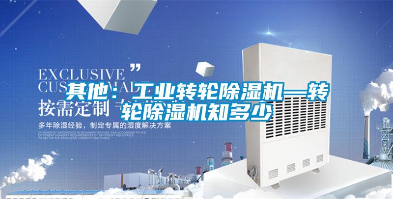 其他:工業(yè)轉(zhuǎn)輪除濕機(jī)—轉(zhuǎn)輪除濕機(jī)知多少