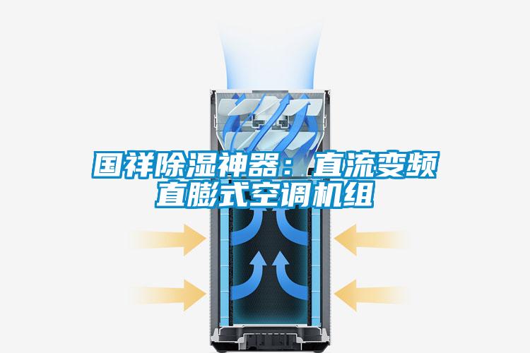 國祥除濕神器:直流變頻直膨式空調機組