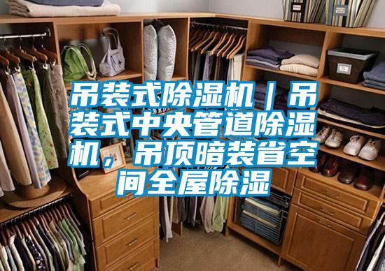 吊裝式除濕機|吊裝式中央管道除濕機,吊頂暗裝省空間全屋除濕