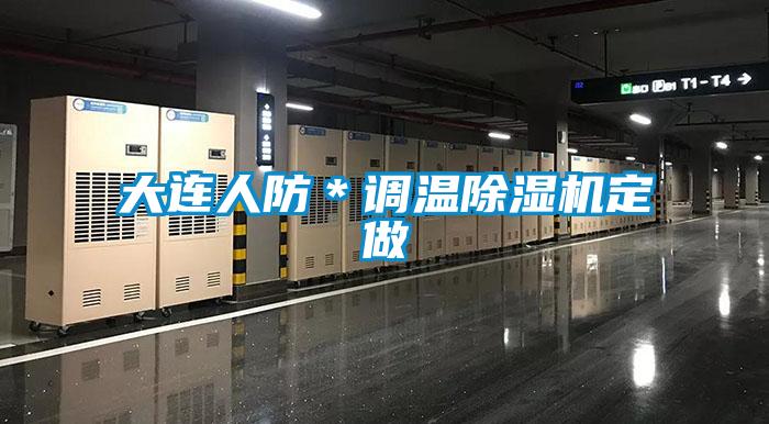 大連人防*調溫除濕機定做