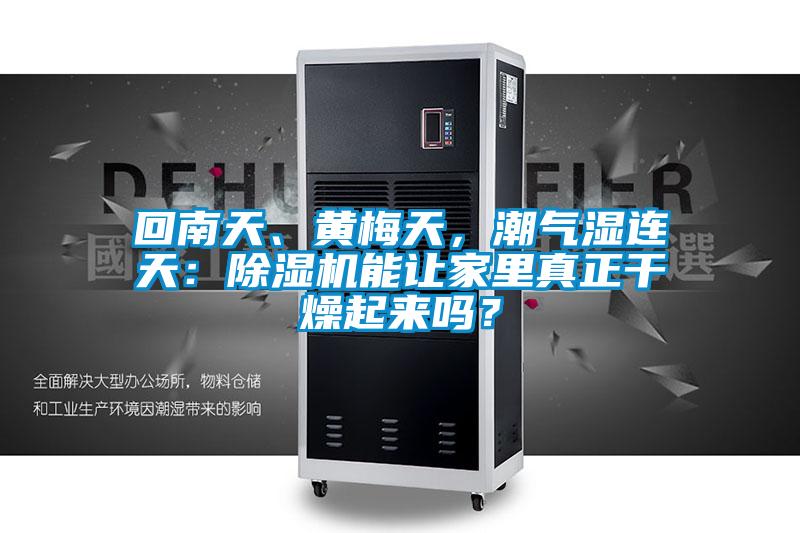 回南天、黃梅天，潮氣濕連天：除濕機(jī)能讓家里真正干燥起來嗎？