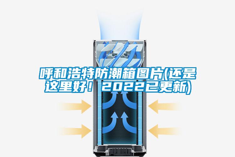 呼和浩特防潮箱圖片(還是這里好！2022已更新)