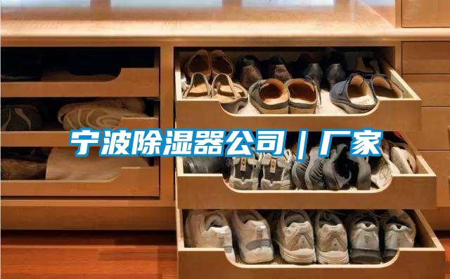 寧波除濕器公司|廠家