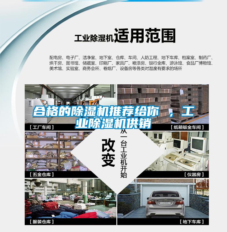 合格的除濕機(jī)推薦給你 ,工業(yè)除濕機(jī)供銷