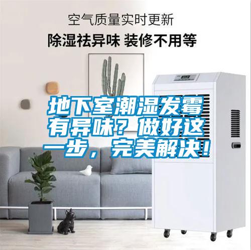 地下室潮濕發霉有異味？做好這一步，完美解決！